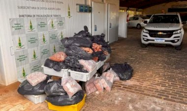 Estabelecimento é flagrado usando vísceras em carne de hambúrguer no DF