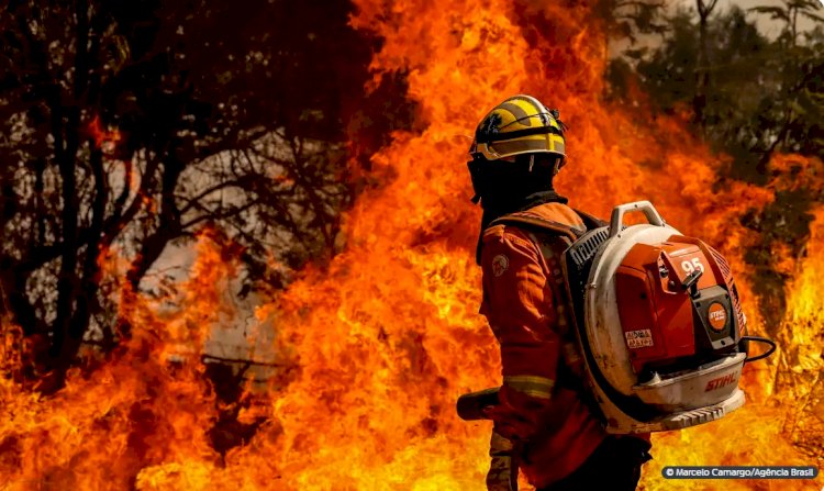 Bombeiros do DF Controlam Incêndio em Área de Nascente do Lago Paranoá