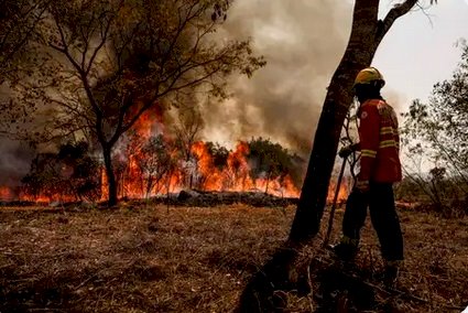 Bombeiros do DF Controlam Incêndio em Área de Nascente do Lago Paranoá